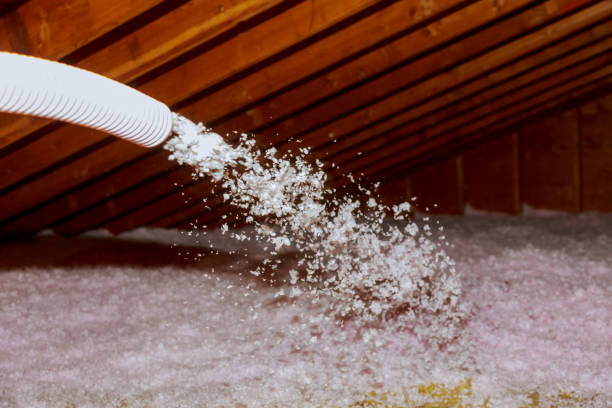 Best Specialty Insulation in Holcom, KS