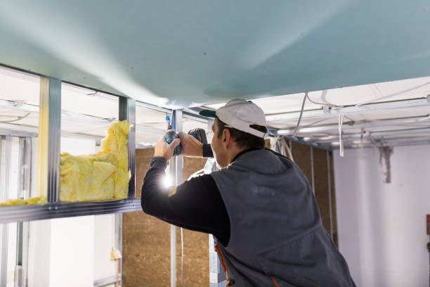 Best Insulation for Specific Applications in Holcom, KS